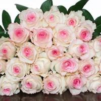 Букет Розовых Роз Импорт